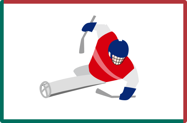 アイスホッケー